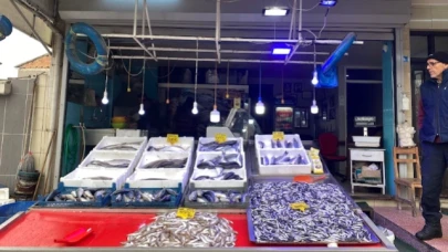 Hamsi düşüşe geçti