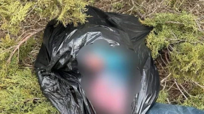 Kaçak avcılık yapan 2 şahsa 308 bin lira ceza kesildi