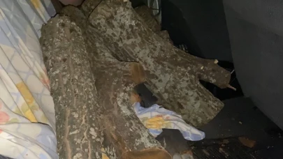 Odun hırsızı suçüstü yakalandı