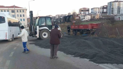 Römork devrildi: Yol, ayçiçeği harmanına dönüştü