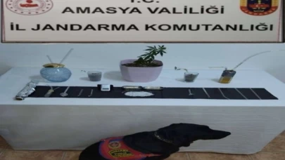 Suluova’da Uyuşturucu Operasyonu: 1 Gözaltı