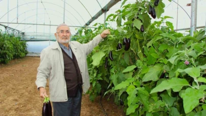 Yazın kilosu 5 lira olan patlıcanları sökmedi, şimdi 17 liradan satıyor
