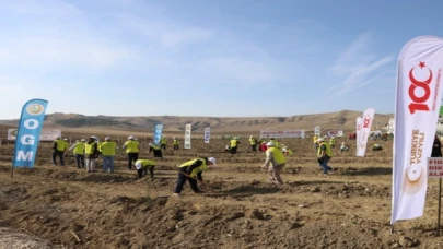 Amasya'da 152 milyon 829 bin TL'lik yatırım gerçekleşti