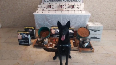 Amasya'da 20 bin adet kaçak makaron ele geçirildi