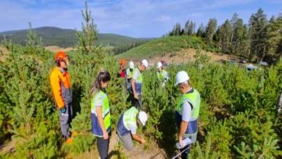 Amasya Orman Bölge Müdürlüğü Çorum’da 397 milyon tl’lik yatırım yaptı