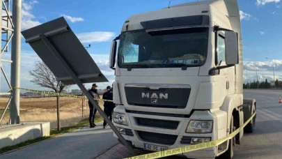Başına levha çarpan tır sürücüsü hayatını kaybetti