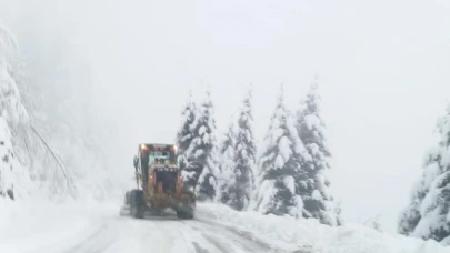 Giresun'da 45 köy yolu kar nedeniyle ulaşıma kapandı