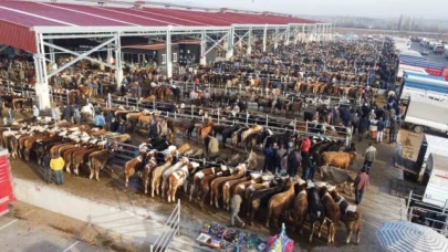 Hayvan pazarı geçici olarak kapatıldı