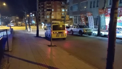 Kardeş kavgası kanlı bitti