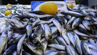 Olumsuz hava şartları sonrası avlanma azaldı, balık fiyatları 2'ye katladı