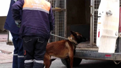 Tasmalı köpek dehşet saçtı, 2'si çocuk 4 kişiyi yaraladı