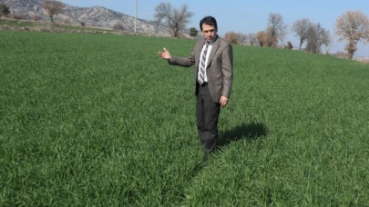 Çetin, Buğday Ekim Alanlarında İncelemelerde Bulundu