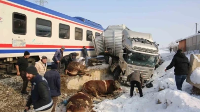 Hayvan yüklü tıra tren çarptı: 2 kişi hayatını kaybetti