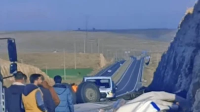 Seyir halindeki gıda yüklü tır devrildi
