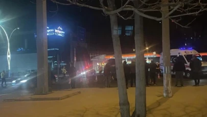 Tıra yaslanan şahıs, sürücü fark etmeyince hayatını kaybetti