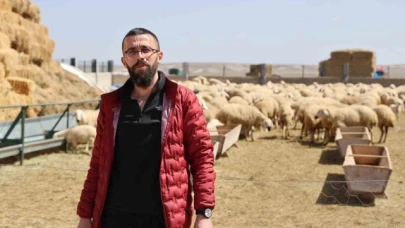 42 bin lira maaş, sigorta, dayalı döşeli ev ve karavana rağmen çoban bulunamıyor