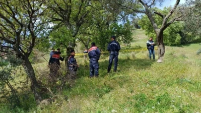 Bir kişi ağaçta asılı halde bulundu