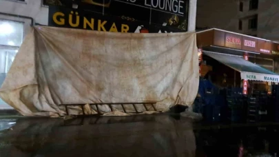 İki araca çarpan panelvan, iş yerine girerek durabildi