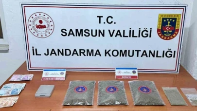 Jandarma 1 kilo 50 gram bonzai ele geçirdi: 1 gözaltı