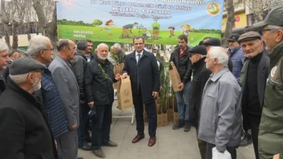 Merzifon’da Fidan Dağıtımı Gerçekleştirildi
