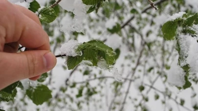Meteorolojiden Çiftçilere Zirai Don Uyarısı!