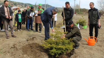 Taşova'da Fidanlar Toprakla Buluşturuldu