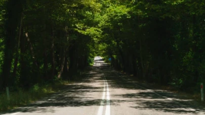 Orman Yolu Sanat Yapısı yapım işi