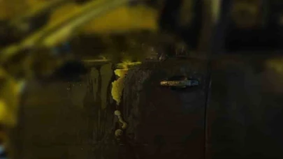 Alev alan otomobilin sürücüsü hayatını kaybetti