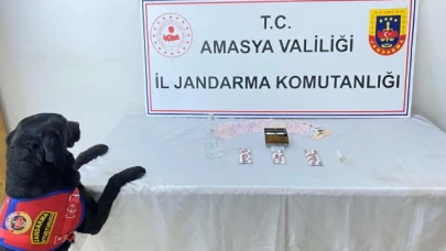 Amasya’da uyuşturucu operasyonu: 1 gözaltı
