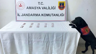 Amasya’da uyuşturucu operasyonu: 1 gözaltı