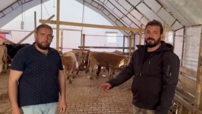 Hayvanları yangında telef oldu, el ele veren vatandaşlar 14 büyükbaş hediye etti