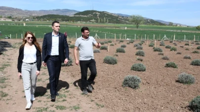 Kaymakam Büyükkaymakcı, Lavanta Bahçesini Gezdi