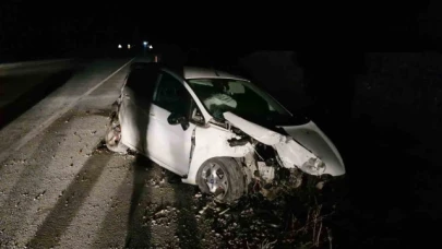Köpeğe çarpan otomobili görünce manevra yaptı, aracıyla şarampole uçtu