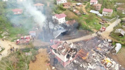 Köyde çıkan yangında çok sayıda yapı küle döndü, 4 hayvan telef oldu