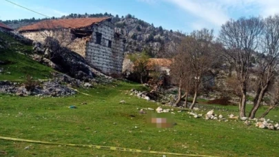 Mezarlık ziyaretine giden yaşlı kadına çoban köpekleri saldırdı