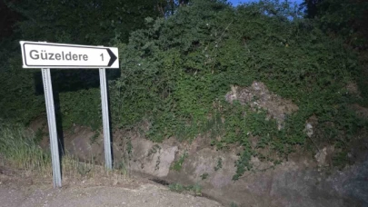 Tokat'ta kene istilası: "Her yerde kene var. Bu sene tutmadı ama tutmayacak diye bir kural yok"