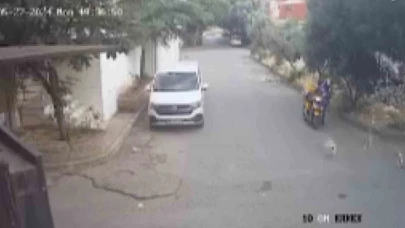 Bilye atan havalı tabancayla köpeğe ateş açtı