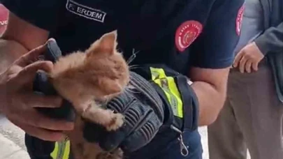 Boruya sıkışan yavru kedi, itfaiye ekipleri tarafından kurtarıldı
