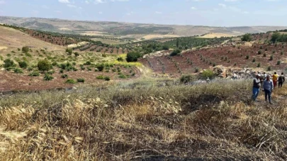 Çıkan yangında 15 dönüm alanda ekili buğday kül oldu