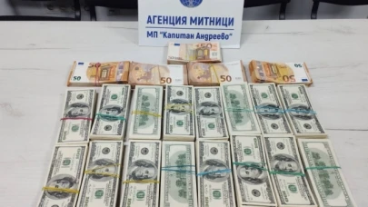 İç çamaşır ve çantalara gizlenen 171 bin 200 dolar sınırda yakalandı