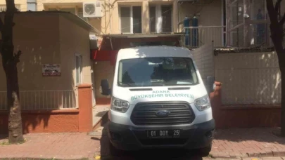 Köpek sürüsü yaşlı kadını parçaladı