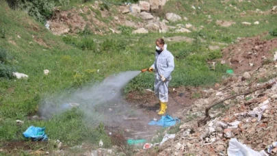 Merzifon Belediyesi’nden Larvasit İlacı Uygulaması