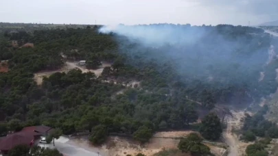 Piknik ateşi yangına yol açtı