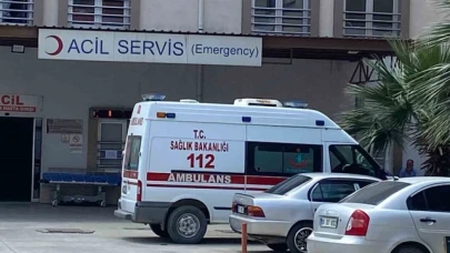 Tarlasında ot temizlerken yılan soktu
