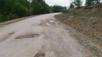 Yoldaki çukurlar kazaya neden oldu, otomobil şarampole uçtu: 1 yaralı
