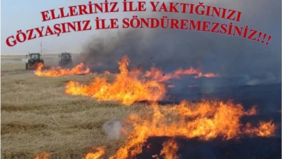 Amasya'da 108 anız yangını meydana geldi