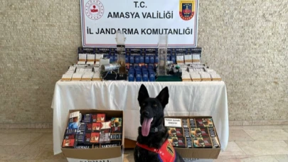 Amasya’da 18 bin 670 dal içi tütün doldurulmuş makaron ele geçirildi