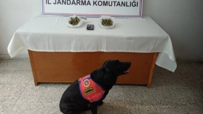 Amasya'da Uyuşturucu Operasyonu: 1 Tutuklama