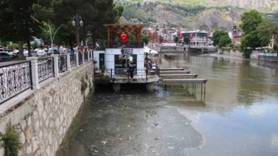 Amasya'da Yeşilırmak Nehri'nde balık ölümleri: Balık tutanlar 'zehirli olabilir' diye uyarıldı