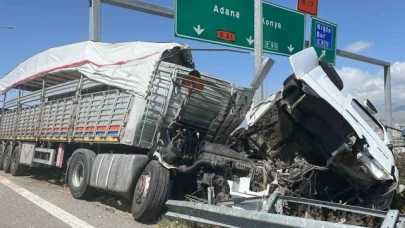 Büyükbaş hayvan yüklü tır devrildi: 2 kişi yaralandı, 7 büyükbaş hayvan telef oldu